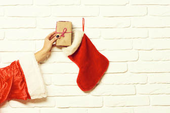 perfect stocking stuffers senegence